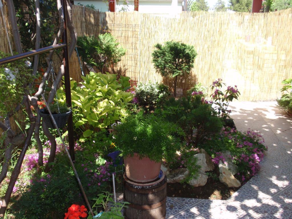 Apartmán Vera Zadar